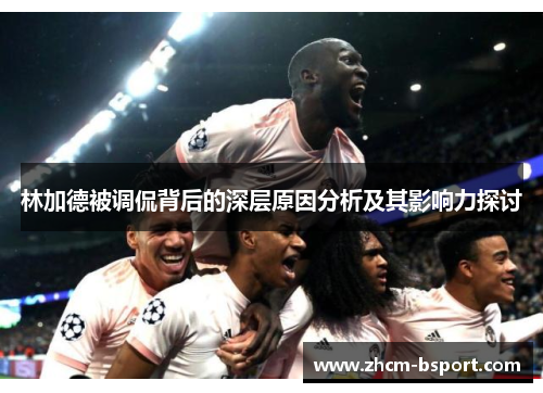 林加德被调侃背后的深层原因分析及其影响力探讨