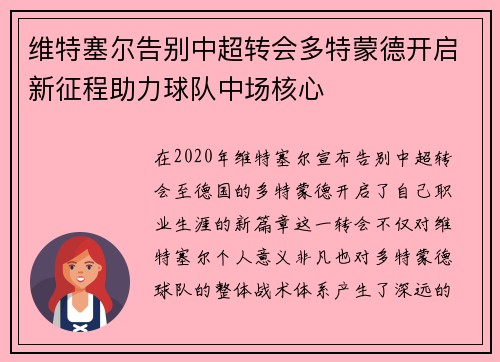 维特塞尔告别中超转会多特蒙德开启新征程助力球队中场核心 维特塞尔告别中超转会多特蒙德开启新征程助力球队中场核心